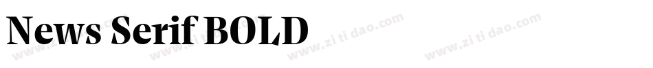 News Serif BOLD字体转换